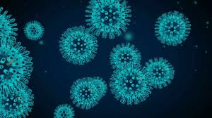 Bericht NRR over coronavirus